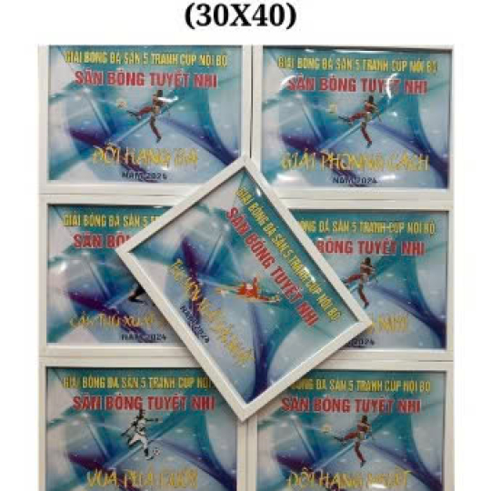 BẢNG DANH VỊ GỖ 30X40 (CHƯA IN)